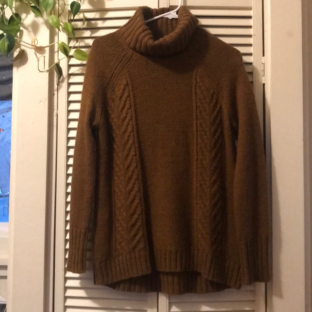 American Eagle Turtleneck Sweater